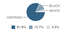 Spruce St Elementary School Student Race Distribution