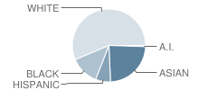 Lawrenceville Elementary School Student Race Distribution