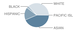 Anna C Scott School Student Race Distribution