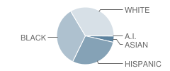 Myles J Mcmanus Middle School Student Race Distribution