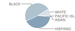 Number 4 School Student Race Distribution