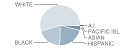 Number 9 Deerfield Terr School Student Race Distribution