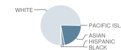 Mt Pleasant School Student Race Distribution