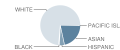 Riker Hill School Student Race Distribution