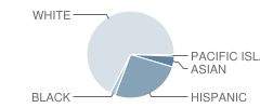 Lyndhurst High School Student Race Distribution