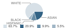 Alan B Shepard School Student Race Distribution