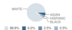 George Washington School Student Race Distribution