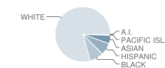 Mainland Regional High School Student Race Distribution