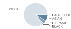 Pine Brook School Student Race Distribution