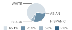 Manville High School Student Race Distribution