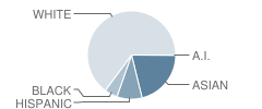 Campbell School Student Race Distribution