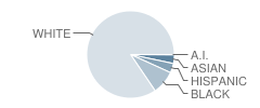 Radix Elementary School Student Race Distribution