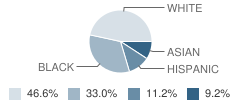 Edgemont School Student Race Distribution