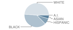 Hillside School Student Race Distribution