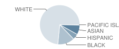 T.e. Harrington Middle School Student Race Distribution