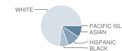 Mt. Olive Middle School Student Race Distribution