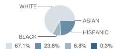 Mullica Township (Twp) Primary School Student Race Distribution