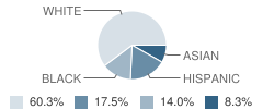 Woodrow Wilson School Student Race Distribution