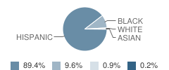 Livingston School Student Race Distribution