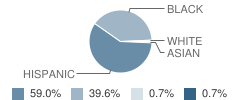 Mckinley Community School Student Race Distribution