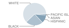 New Hanover Township (Twp) School Student Race Distribution