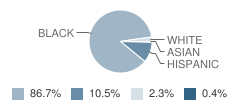 Belmont Runyon School Student Race Distribution