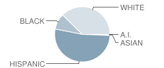 Oliver St School Student Race Distribution