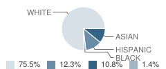 Nutley High School Student Race Distribution