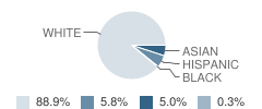 Spring Garden School Student Race Distribution