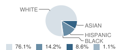 East Brook School Student Race Distribution