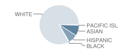 Gillette School Student Race Distribution