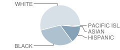 Samuel T Busansky School Student Race Distribution