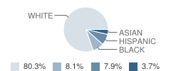 Phillipsburg High School Student Race Distribution