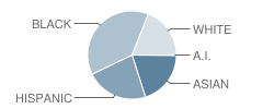 Theodore Schor Middle School Student Race Distribution