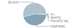 Maxson School Student Race Distribution