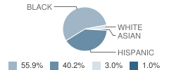 Leeds Ave Elementary School Student Race Distribution