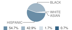 North Main St Elementary School Student Race Distribution