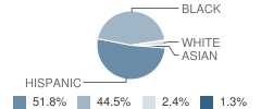 South Main St Elementary School Student Race Distribution