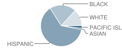 Number 1 Prospect Park School Student Race Distribution