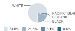 Quinton Township (Twp) School Student Race Distribution