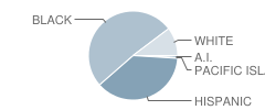 Grover Cleveland School Student Race Distribution