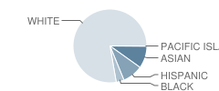 Randolph Middle School Student Race Distribution