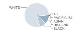 Riverside High School Student Race Distribution