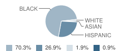 Wilday School Student Race Distribution