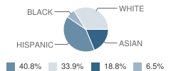 Ernest J Finizio-Aldene School Student Race Distribution