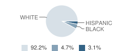 Sea Isle Elementary School Student Race Distribution