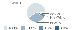 Jefferson School Student Race Distribution