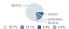 L.c. Johnson Summit Middle School Student Race Distribution