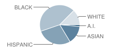 Hawthorne School Student Race Distribution