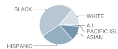 Lowell School Student Race Distribution